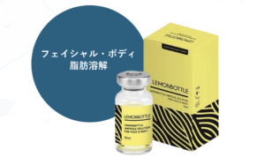 最新】美容液導入器ノアグロウ｜育毛・美肌・痩身対応の最新美容機器を