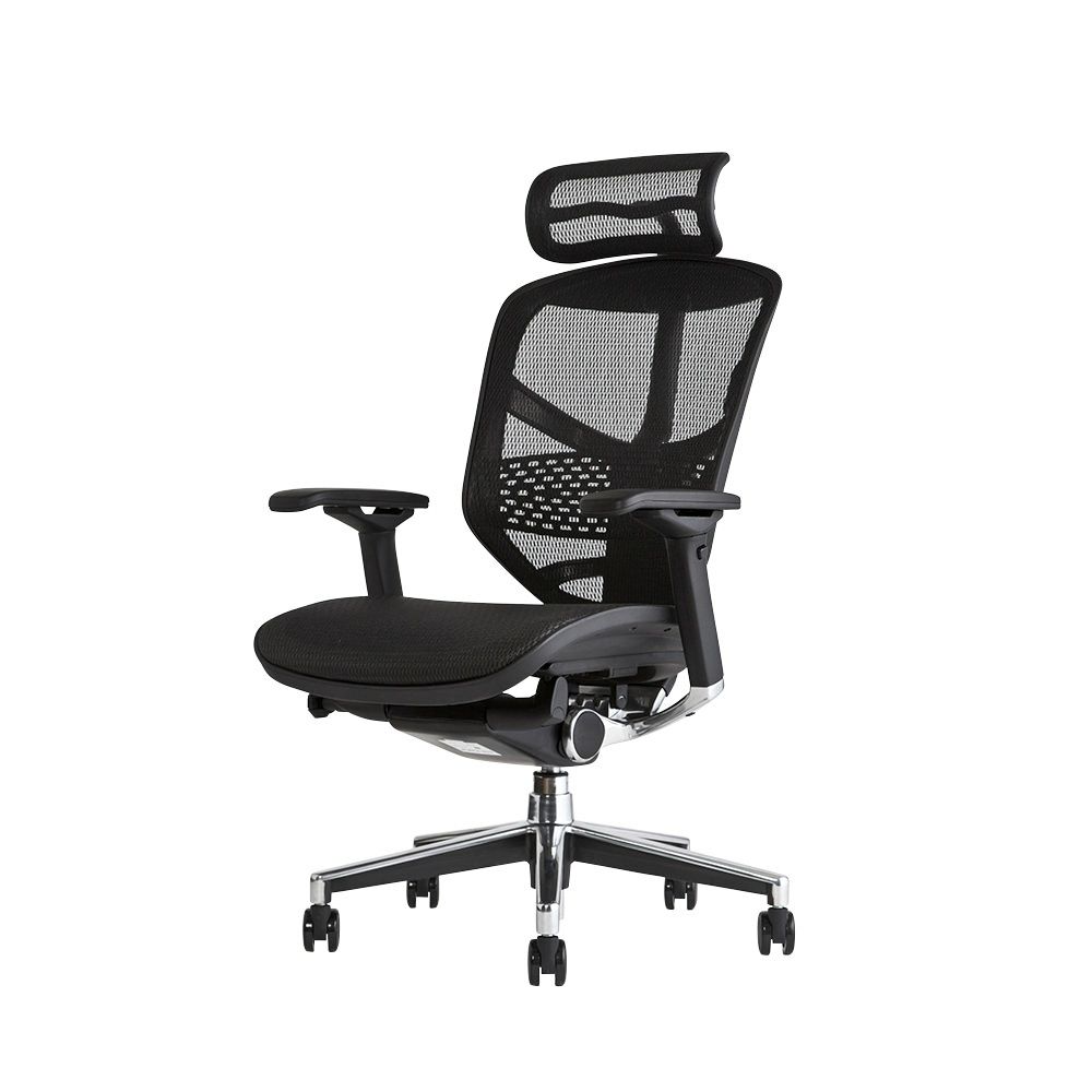 エルゴヒューマン エンジョイ / ヘッドレスト有り【メーカー組み立て