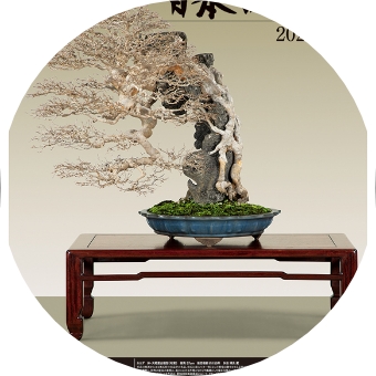 ファンミティ[fanmity]｜Fan+Community｜ファンを繋ぐプラットフォーム。