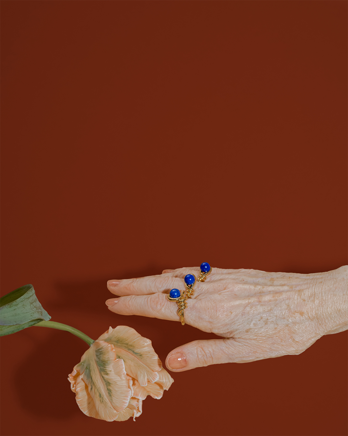 Kinomi Twist Ring - lapis lazuli/Gold | Fauvirame | フォーヴィ