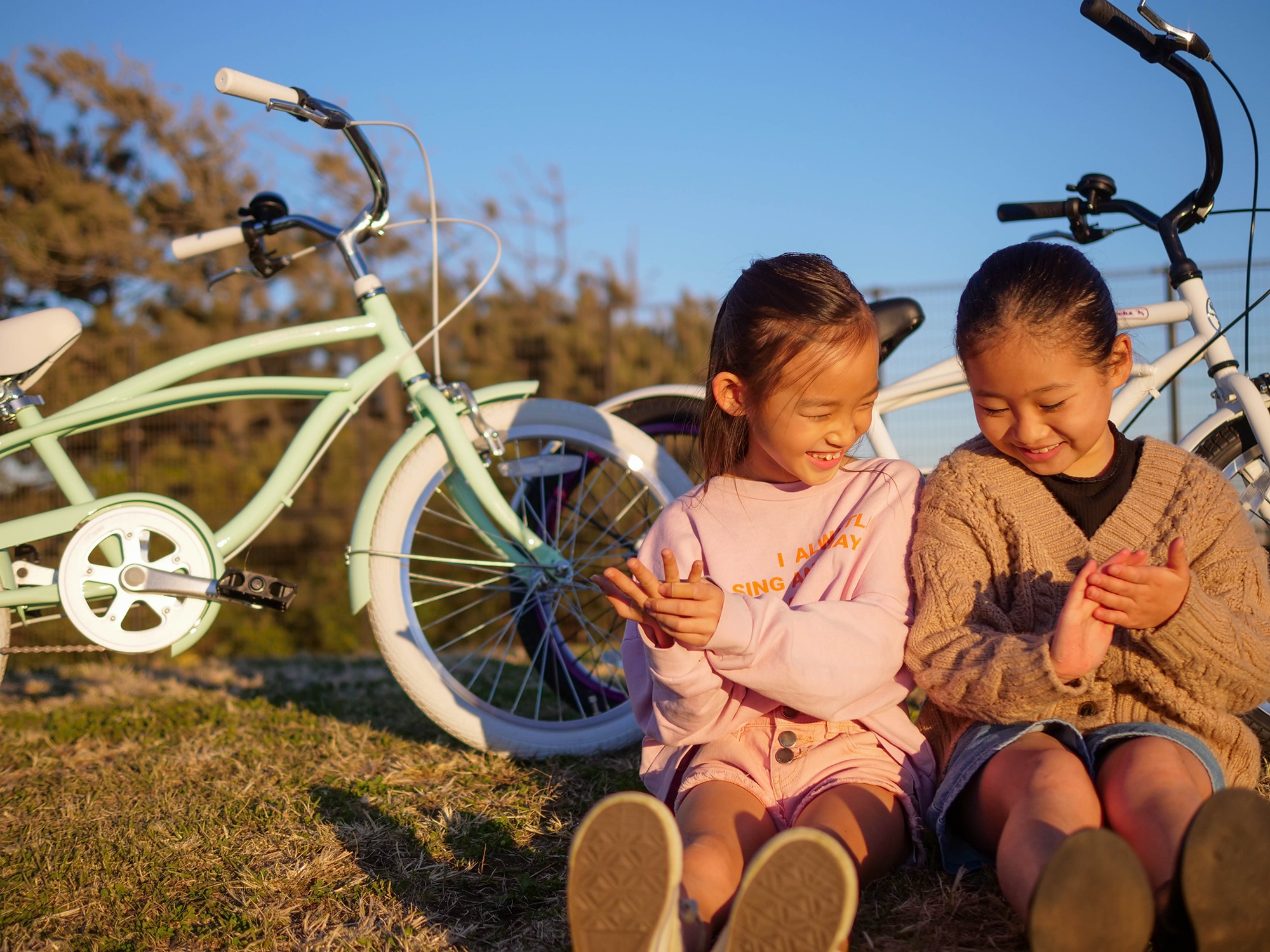 Feeling of Decks | 20インチビーチクルーザー