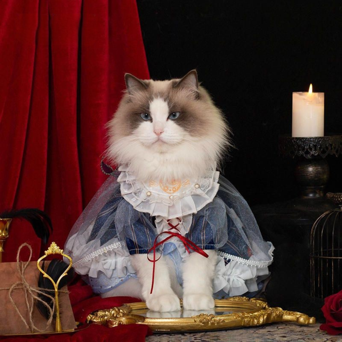 Fesalia（フェサリア） | ねこちゃん専用ドレスショップ