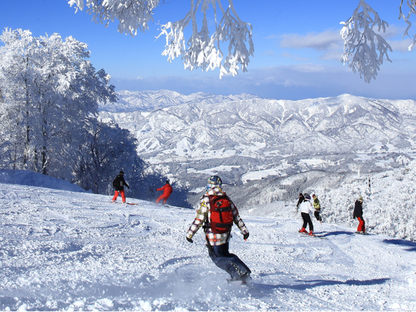 Announcement of the venue for the 2025-2026 Japan Cup. | GOLDWIN