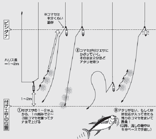 松本圭一と行く！ 実践・コマセキハダ【前編】
