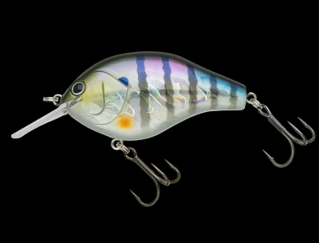 マルノミフラット60は2024年新登場のシェイキーで誘えるフラットサイド