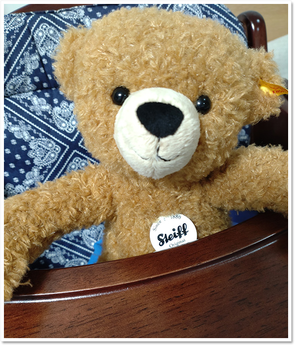 シュタイフ 日本限定 日本の名花シリーズ テディベア なでしこ 28cm