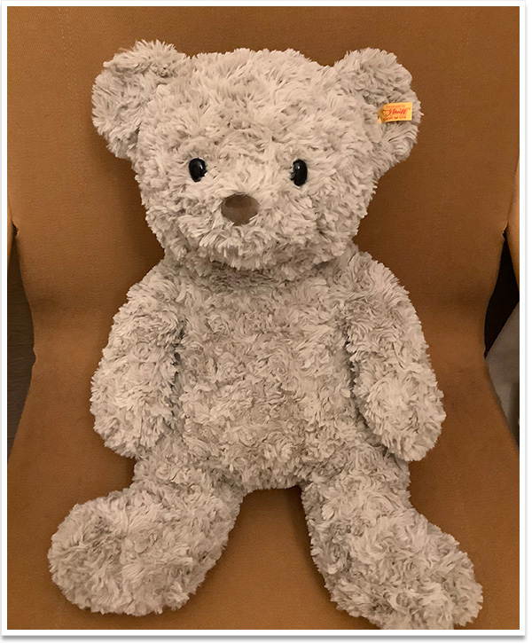 シュタイフ 赤ちゃんキツネのフォクシー 19cm EAN074035