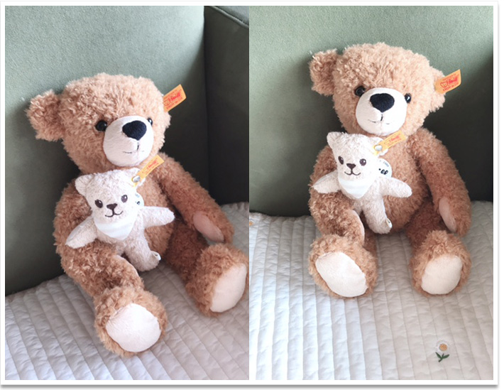 シュタイフ ファントムオブオペラテディベア（オペラ座の怪人） 30cm