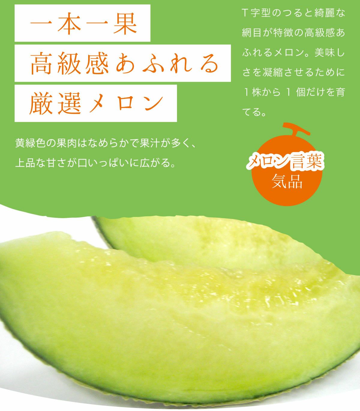 10日以内発送】メロン アールスメロン melon_earls_XL1 特大サイズ1玉