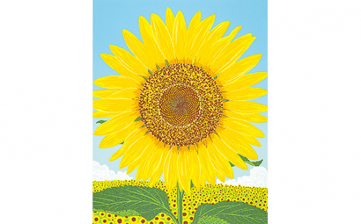 flowers 向日葵」 ｜JALふるさと納税サイト