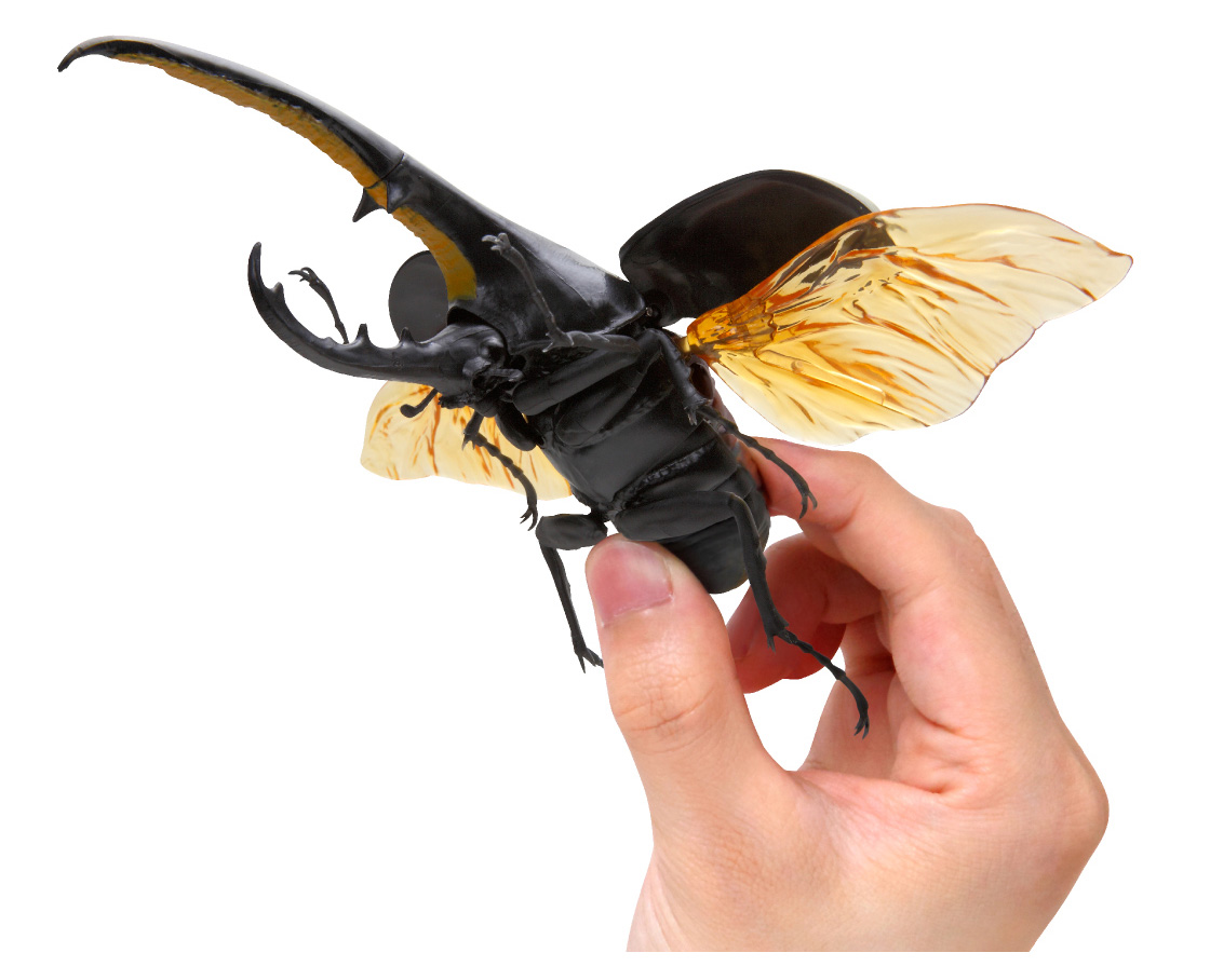 かぶとむし｜いきもの大図鑑｜ガシャポンオフィシャルサイト