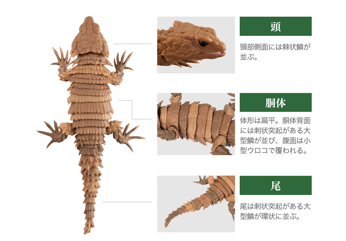 だんごむし 07｜いきもの大図鑑｜ガシャポンオフィシャルサイト
