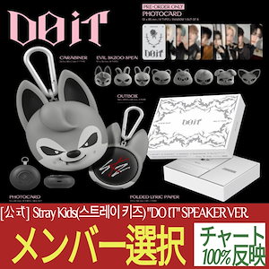 スキズ do it スピーカー