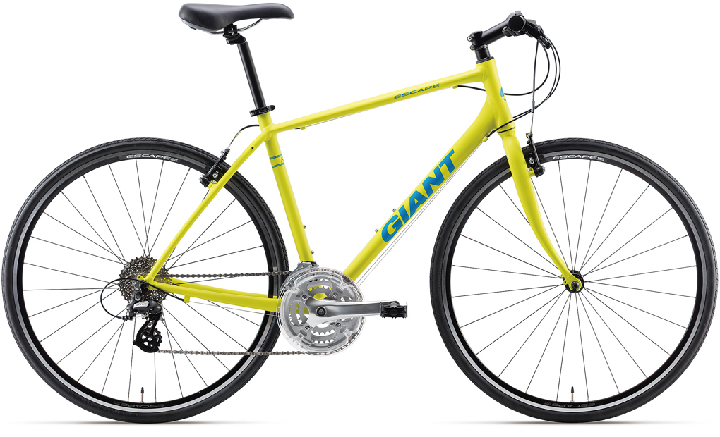 2018NEWモデル発表！早期受付中！ ｜ ジャイアントストア川越