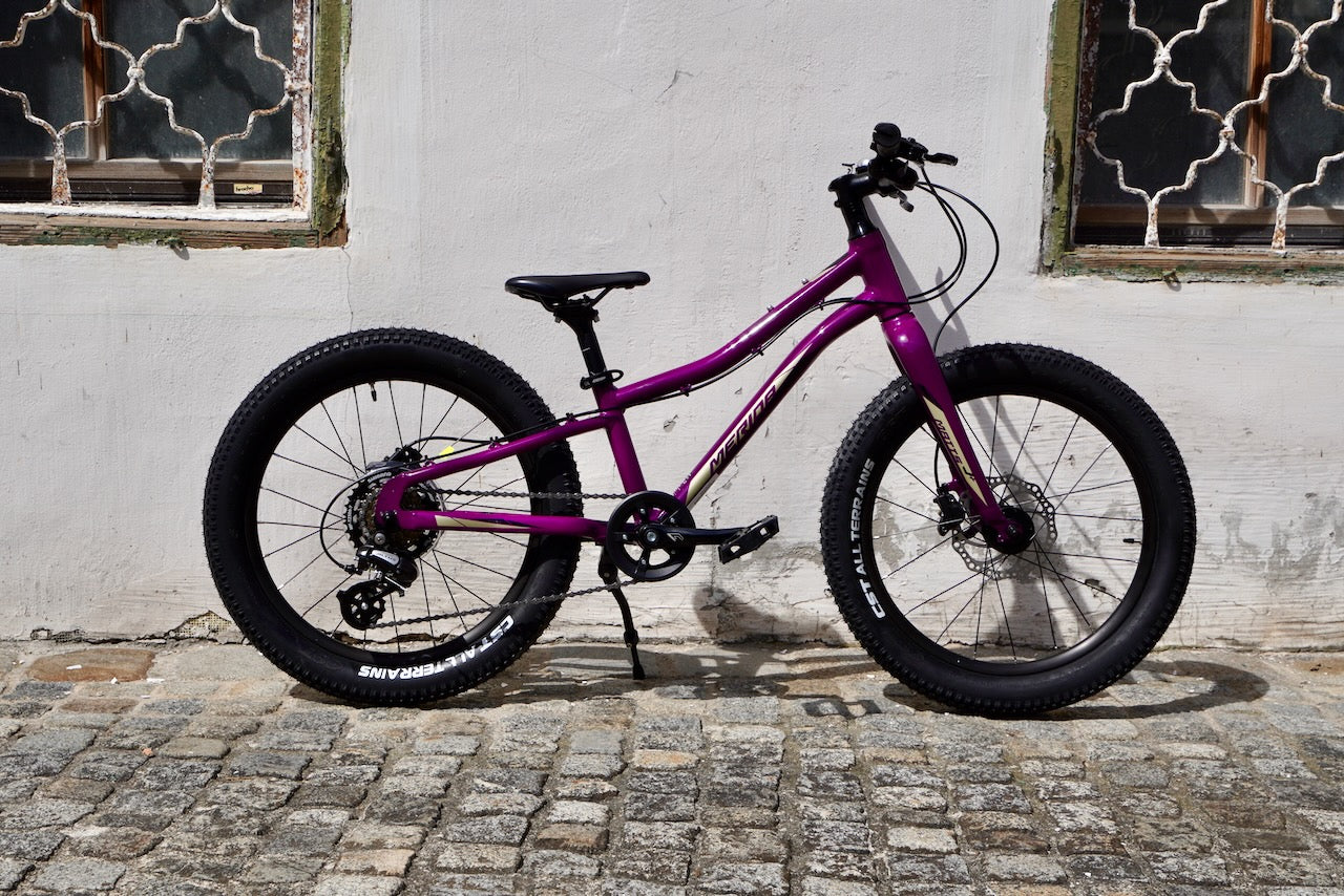 Merida Matt's J.20+ – Grundtner