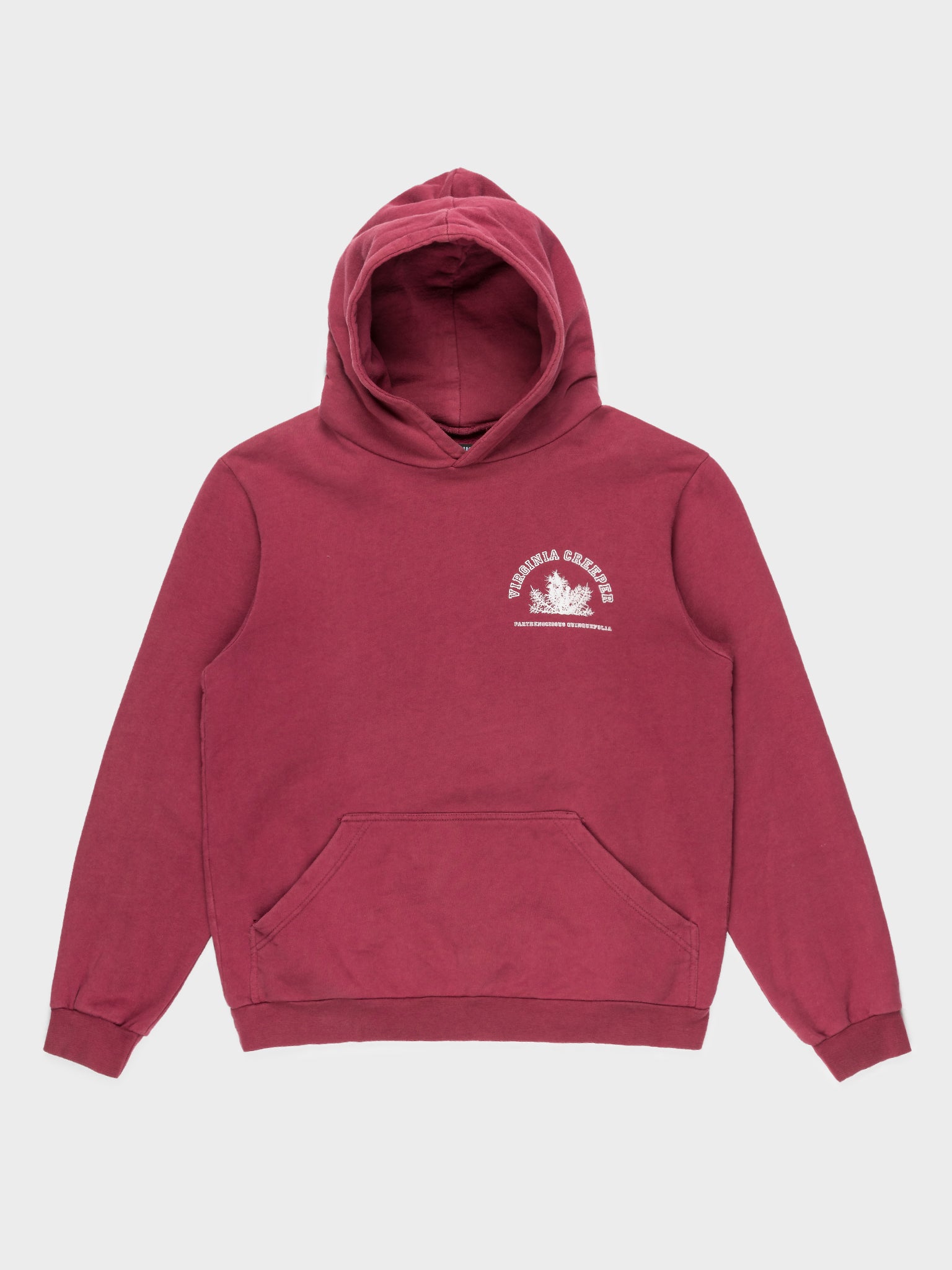 Buy Raf Simons 'Virginia Creeper' Hoodie Online at Groupie