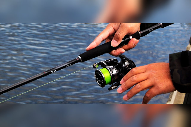 ダイワ「レイジー」が便利＆高コスパ！個性豊かな19モデルを総まとめ