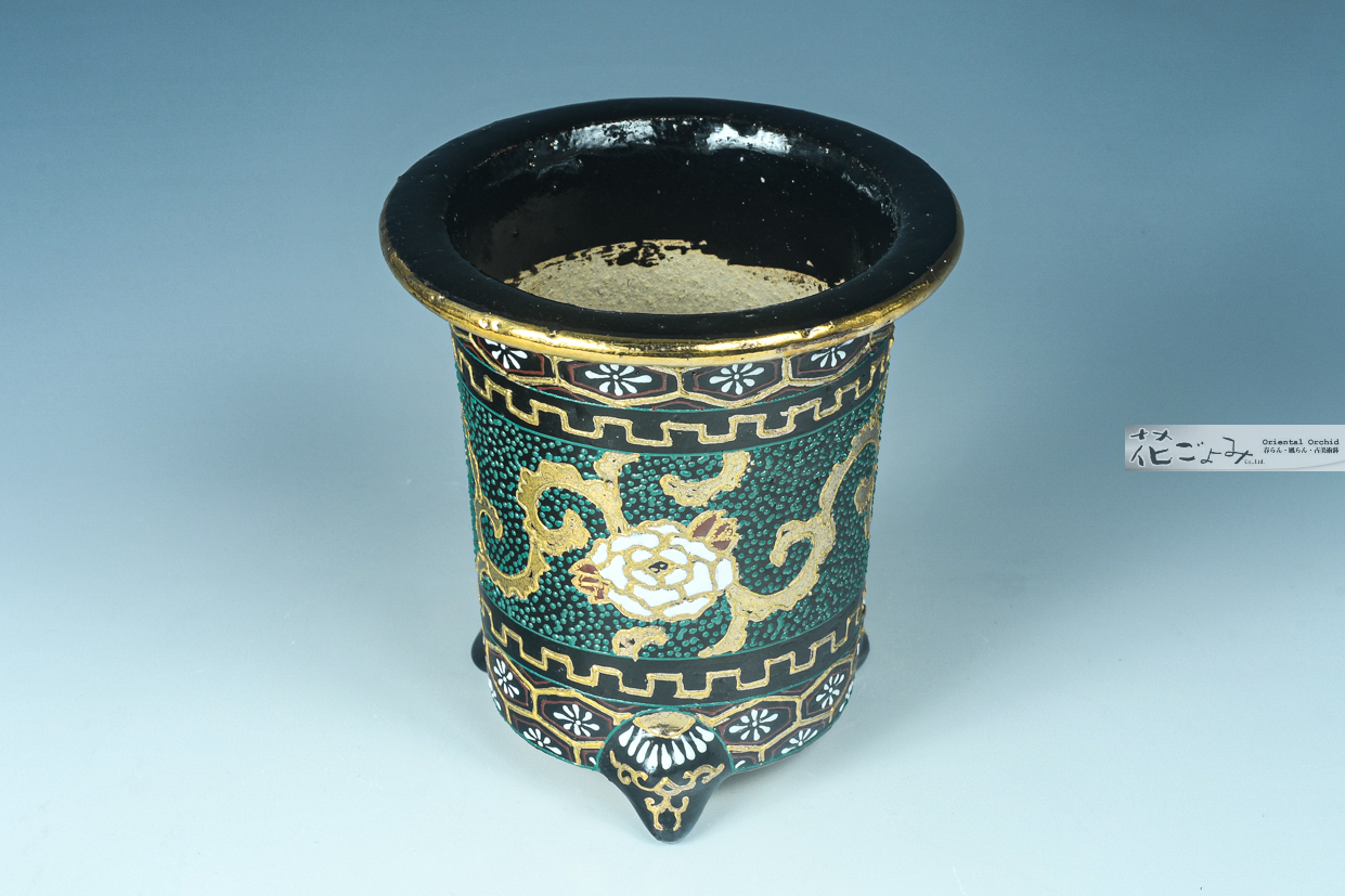 加茂黒釉寸胴古鉢写し京楽蘭鉢・華氏絵付け - 東洋蘭専門店 花ごよみ