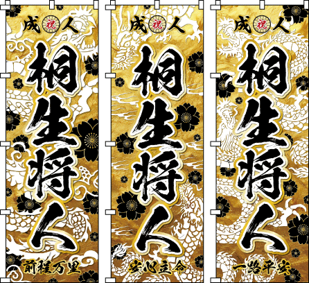 成人式幟.卒業式のぼり旗☆名入れ旗.名前のぼり☆体育祭.応援旗