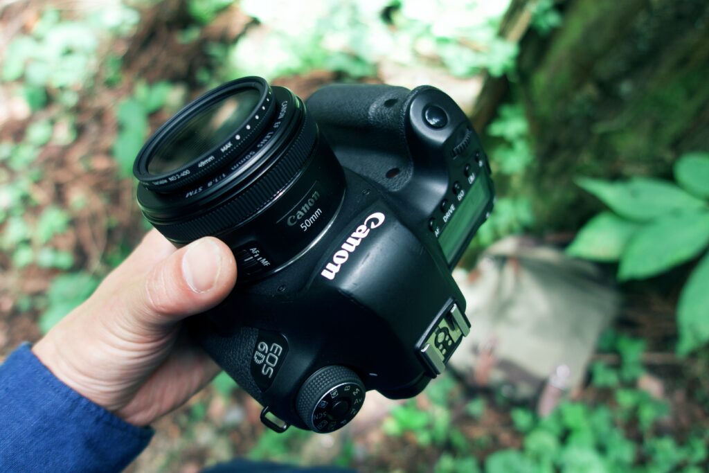 古いフルサイズ一眼レフで森を切り撮る|CANON EOS 6D | hirosaka's