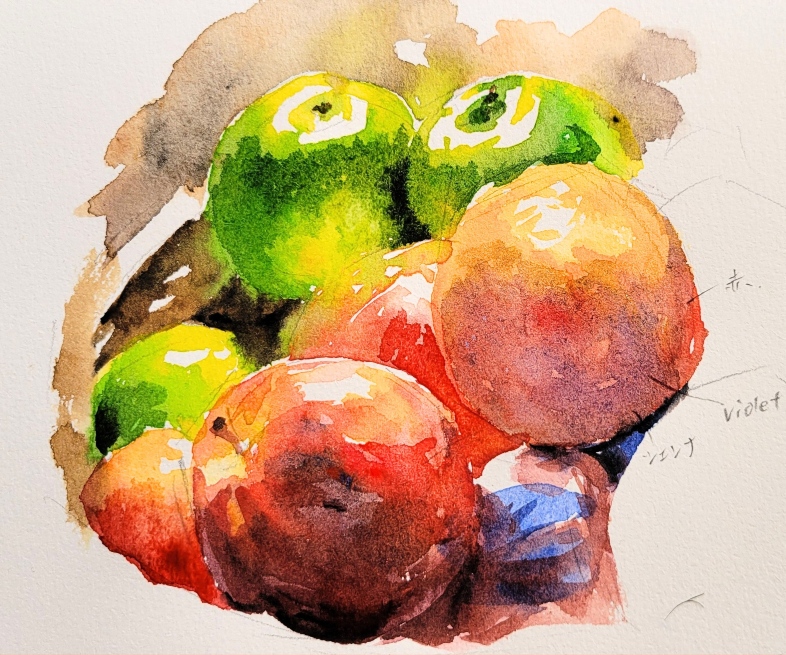 りんご・オレンジ・果物」を水彩で描く過程/水彩画研究⓶ | 旅する画家