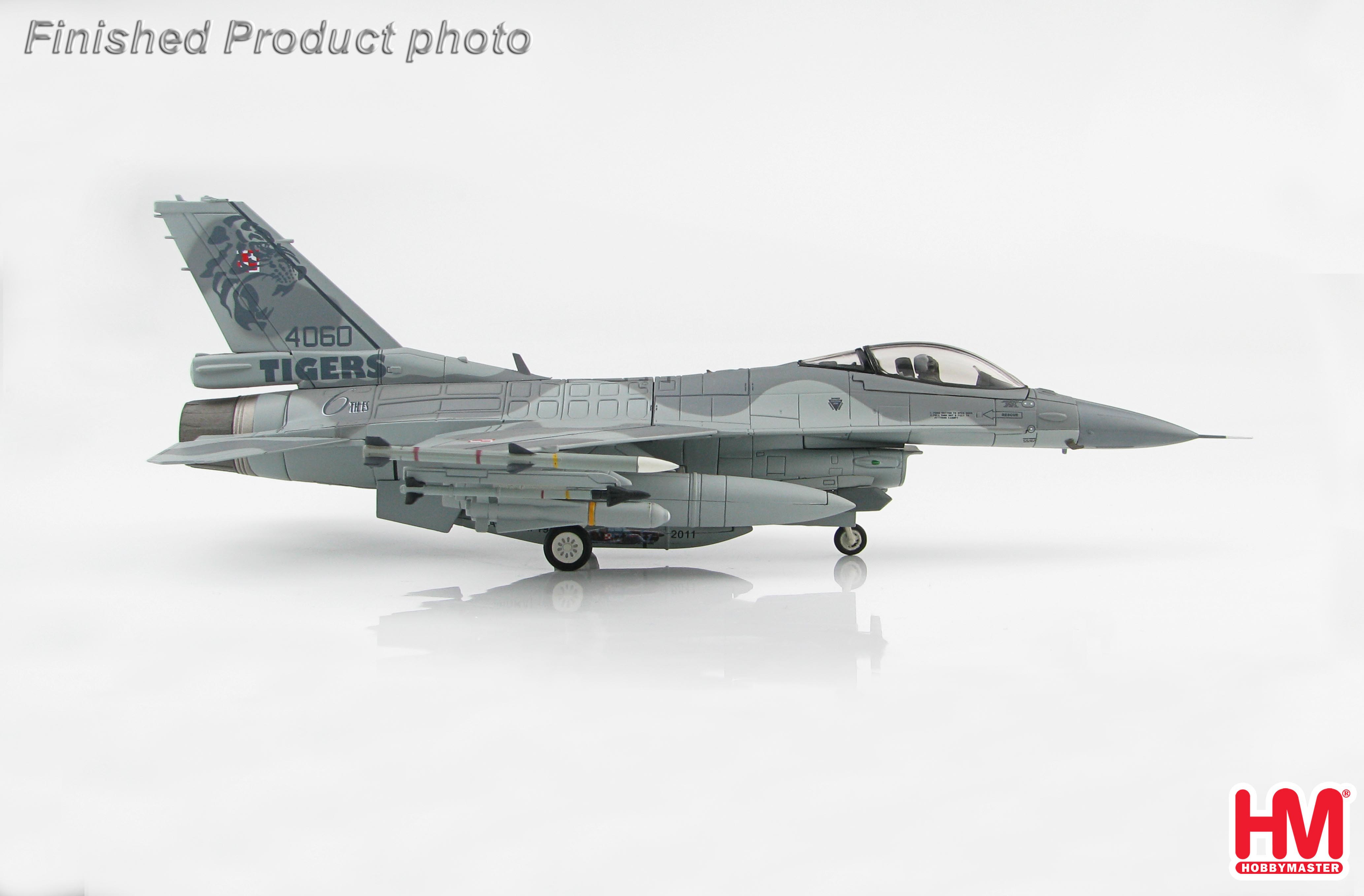 Lockheed F-16C Block 52+ 4060, Tiger Meet Cambrai 2011