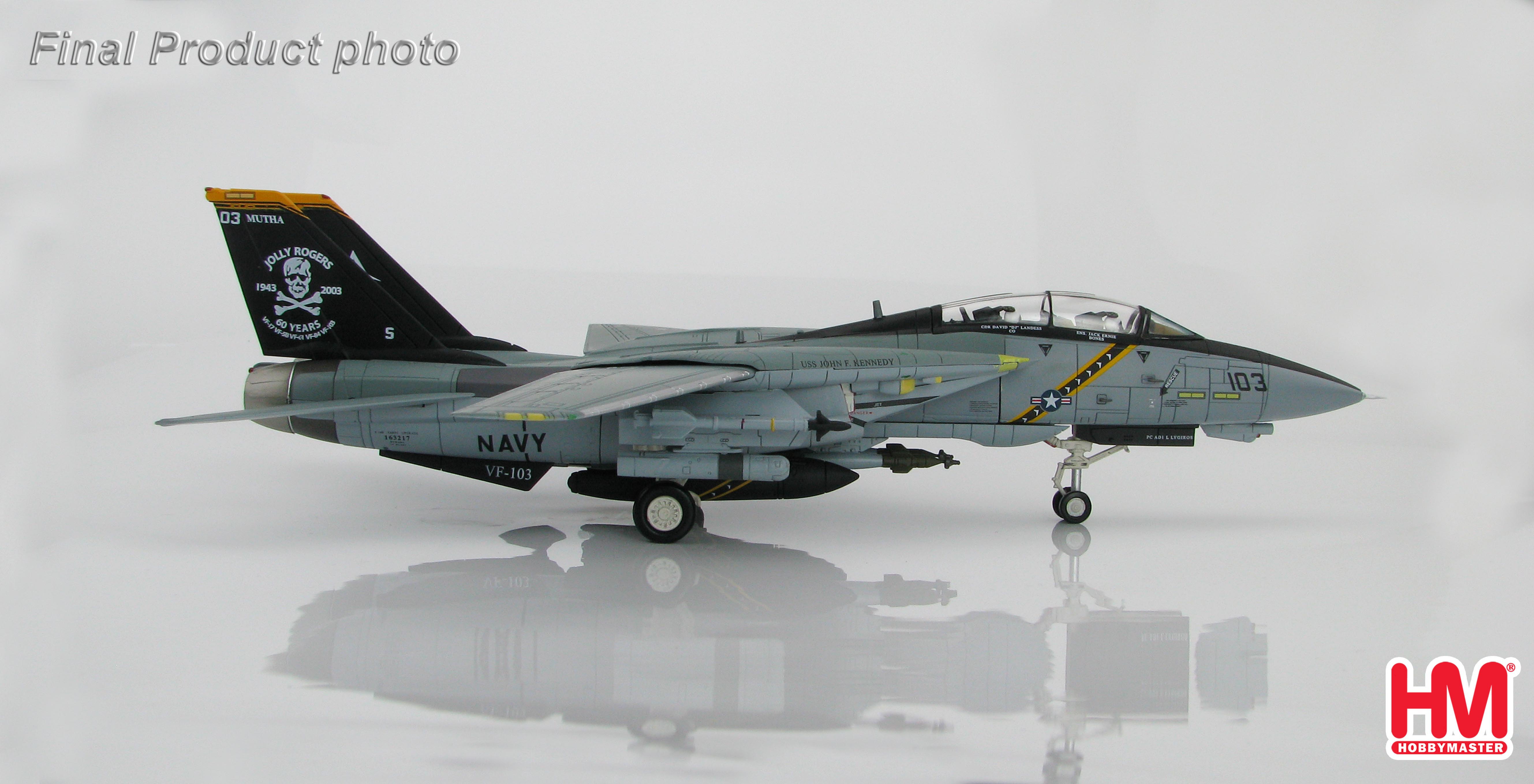 Grumman F-14B Tomcat CO Aircraft (AA103), VF-103 