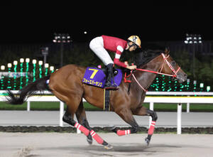 ブリーダーズカップ】BCクラシックに参戦するフォーエバーヤングなど