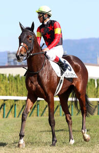 94年天皇賞・秋優勝のネーハイシーザー死亡 日本レコード2度の快速