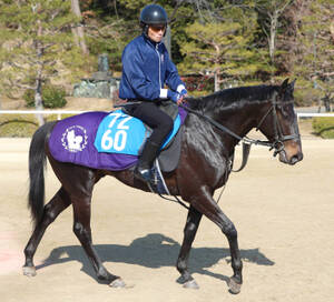 注目馬動向・2歳】未勝利、赤松賞を連勝したヒズマスターピースは阪神