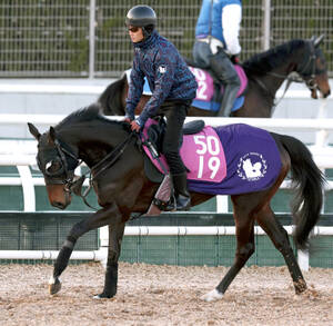 2002年皐月賞馬のノーリーズンが25歳で死す 「ウマ娘」にも登場