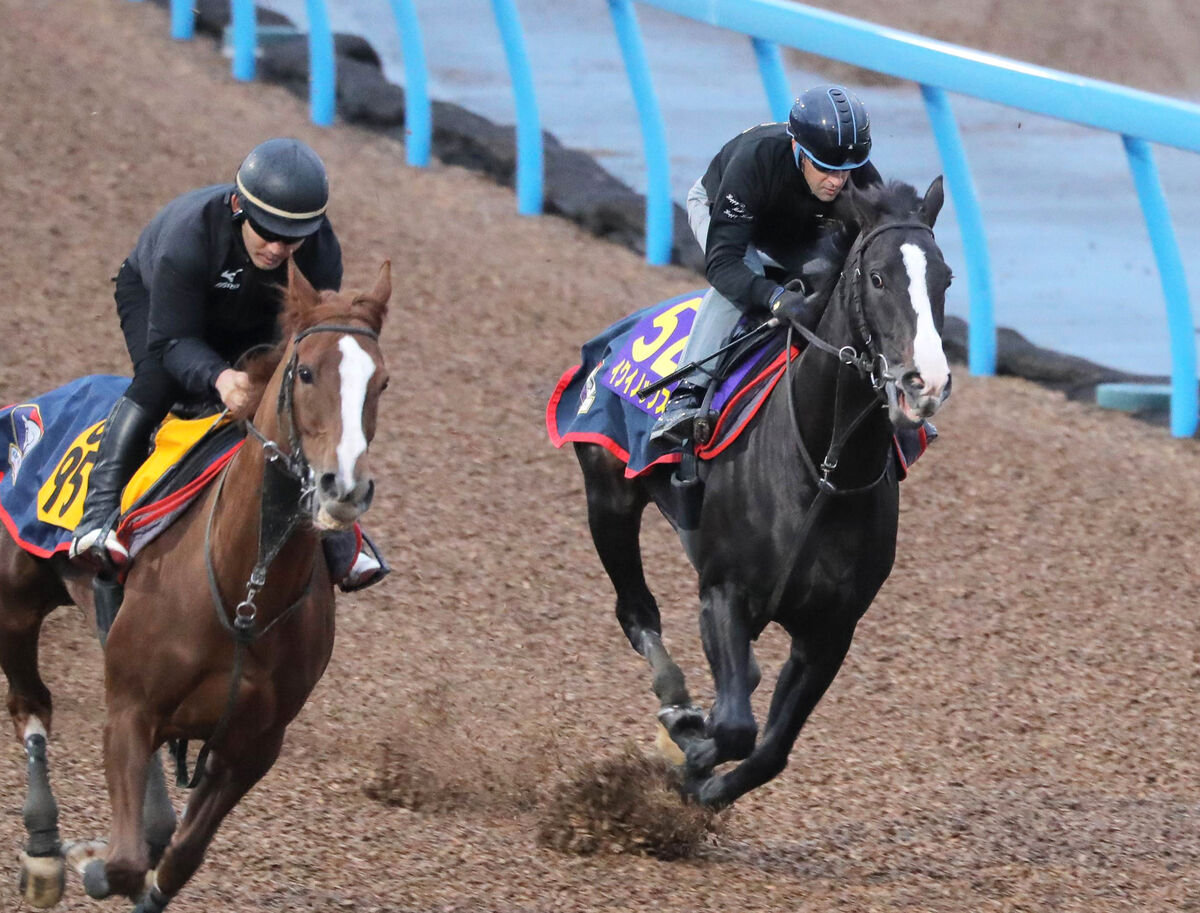 天皇賞・秋】イクイノックス1週前追い切りでルメール騎手大満足
