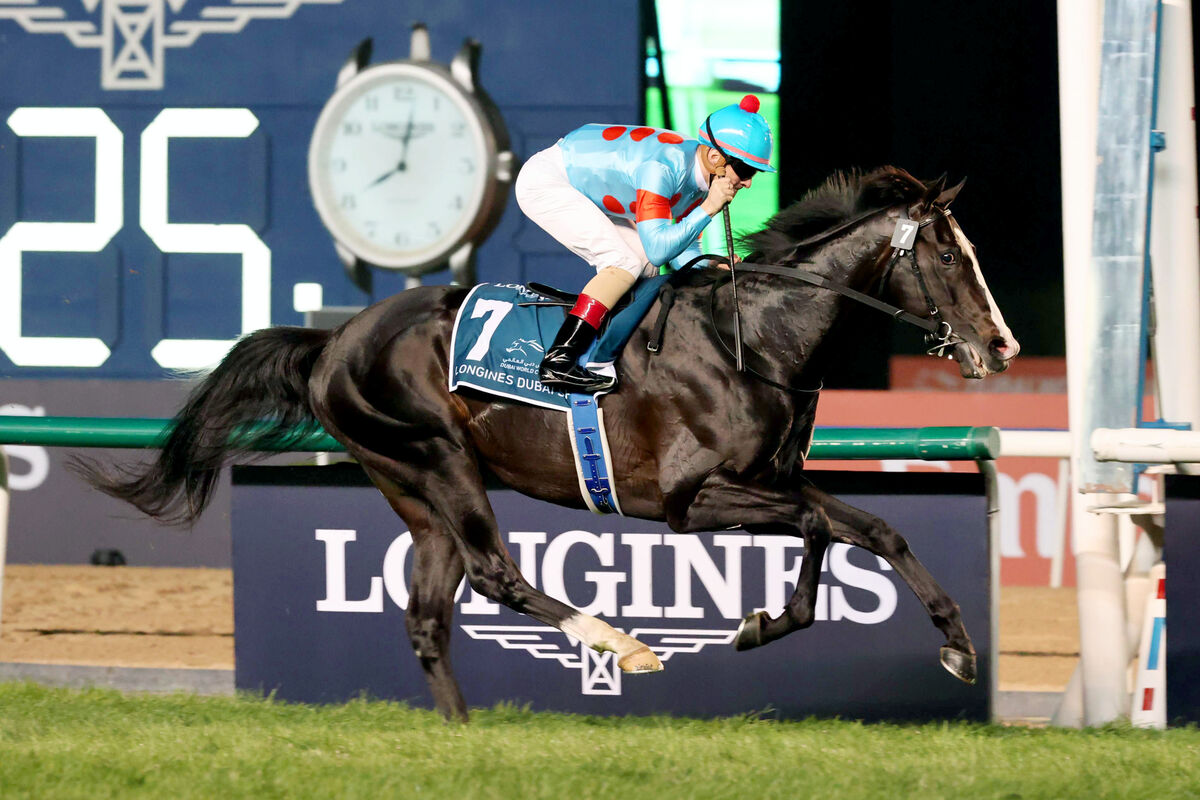 ドバイ・シーマC】海外初挑戦のイクイノックス、ノーステッキで世界に