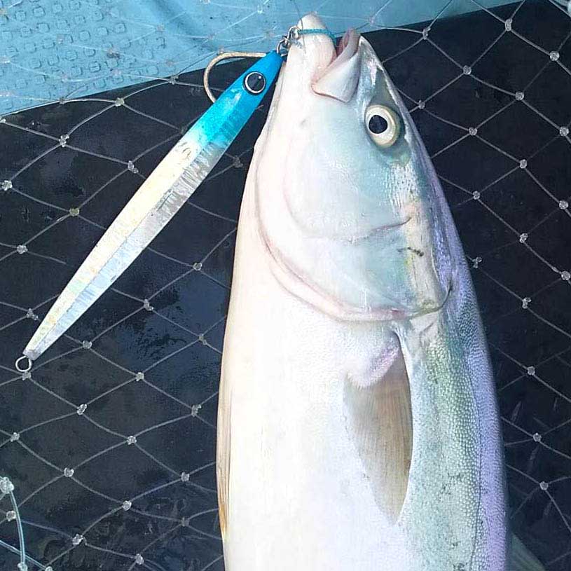 永井 誠一氏 監修メタルジグ｜NS JIG｜HOT'S