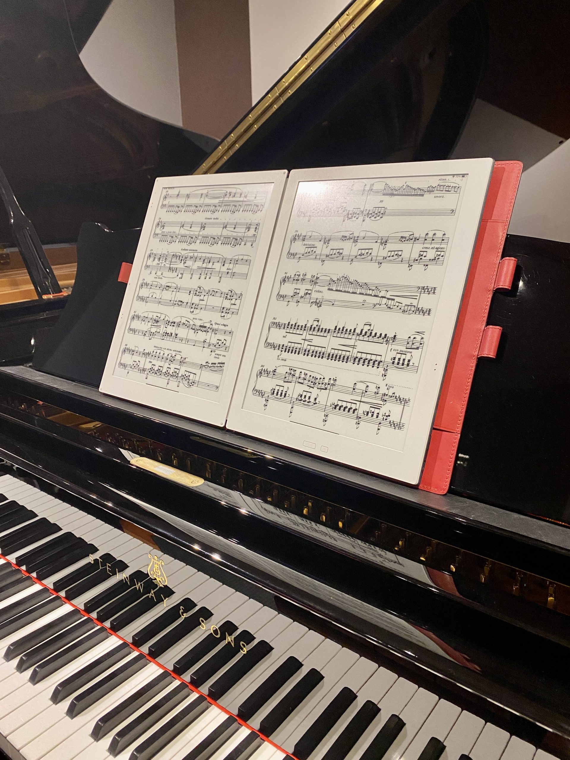 GVIDO(世界初2画面電子楽譜 グイド) | ピアニスト 林田 誠の独走曲