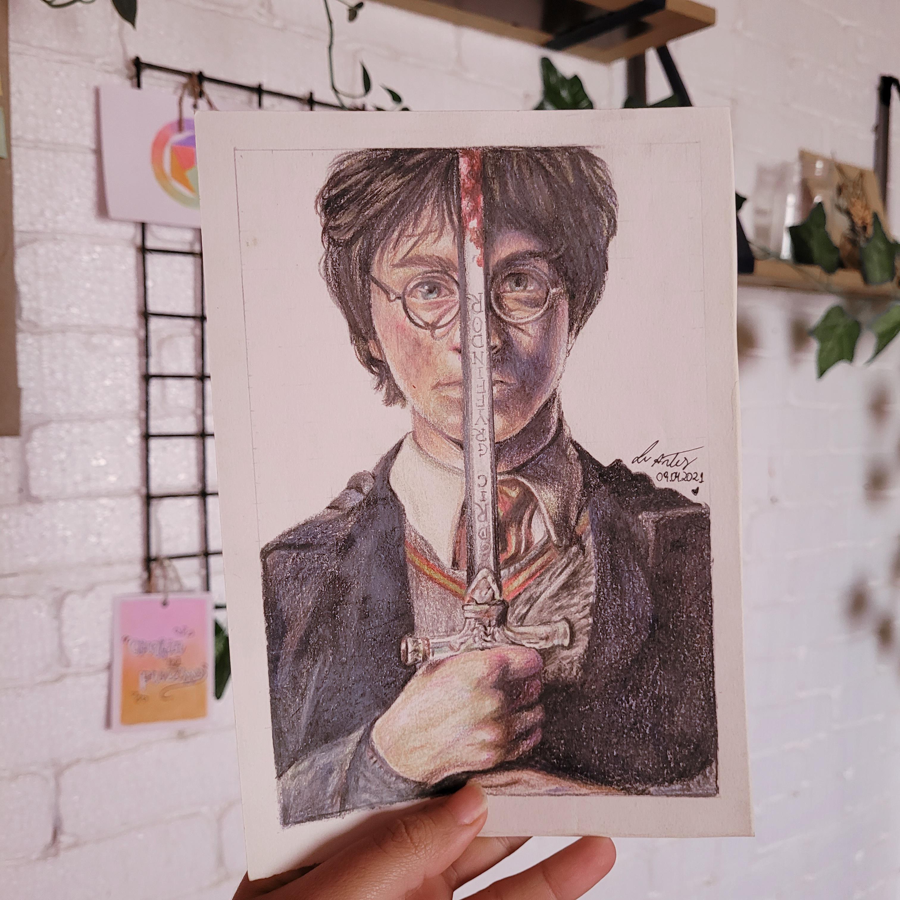 ハリーポッターのリアルな絵 ⚡️ : r/harrypotter