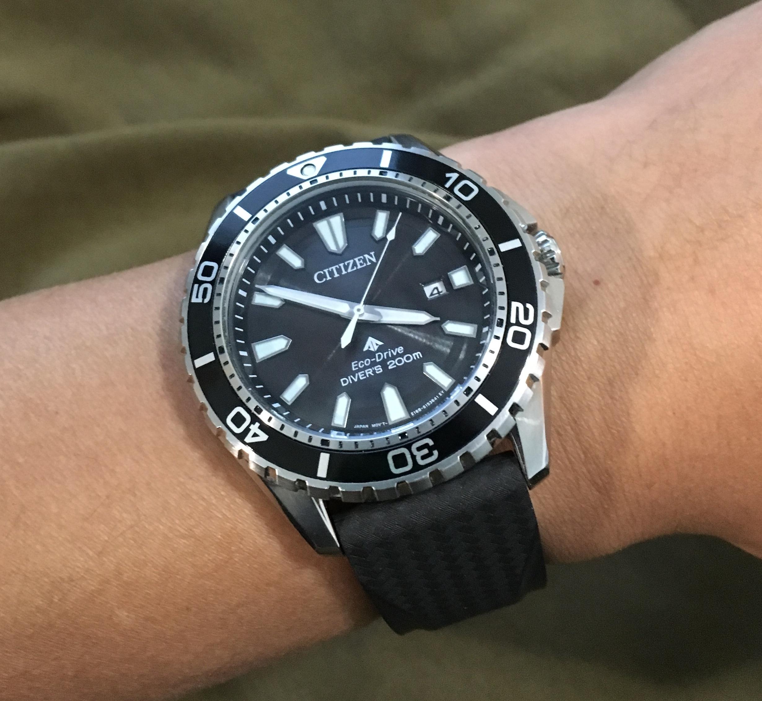 市民] プロマスターダイバー BN0190 レビュー : r/Watches