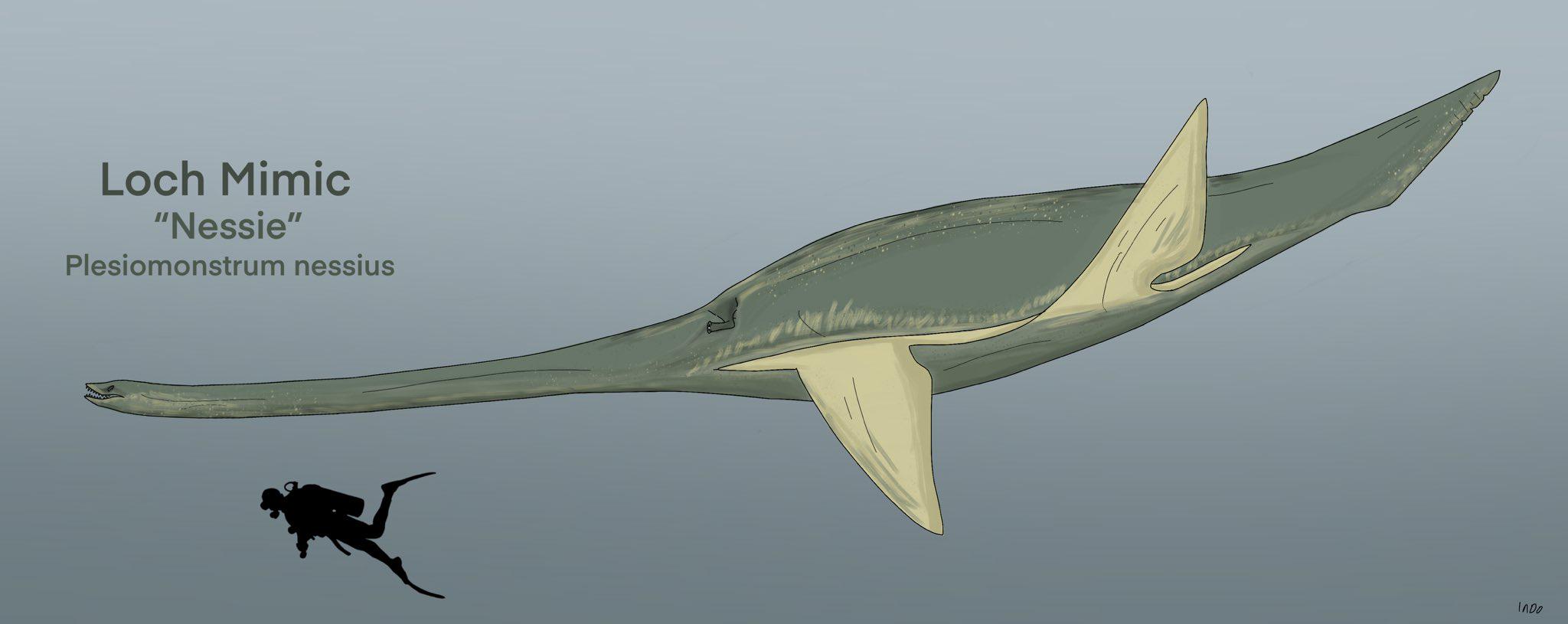 ネッシー ロックネス 怪獣 ラジコン UMA 未確認生物 プレシオサウルス