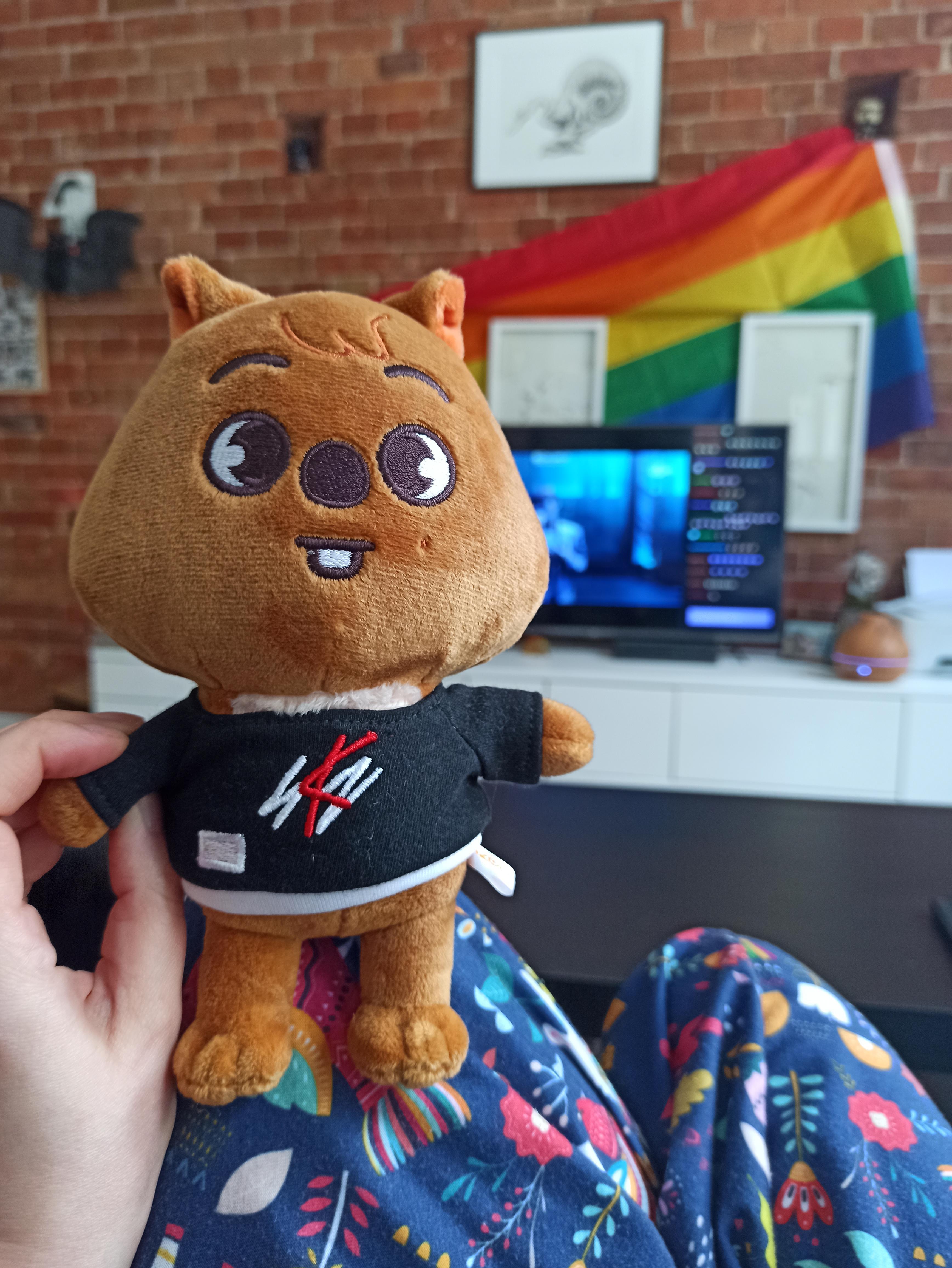 昨日、うちのハン・クオッカが届いて、一緒にキングダム見てるんだ