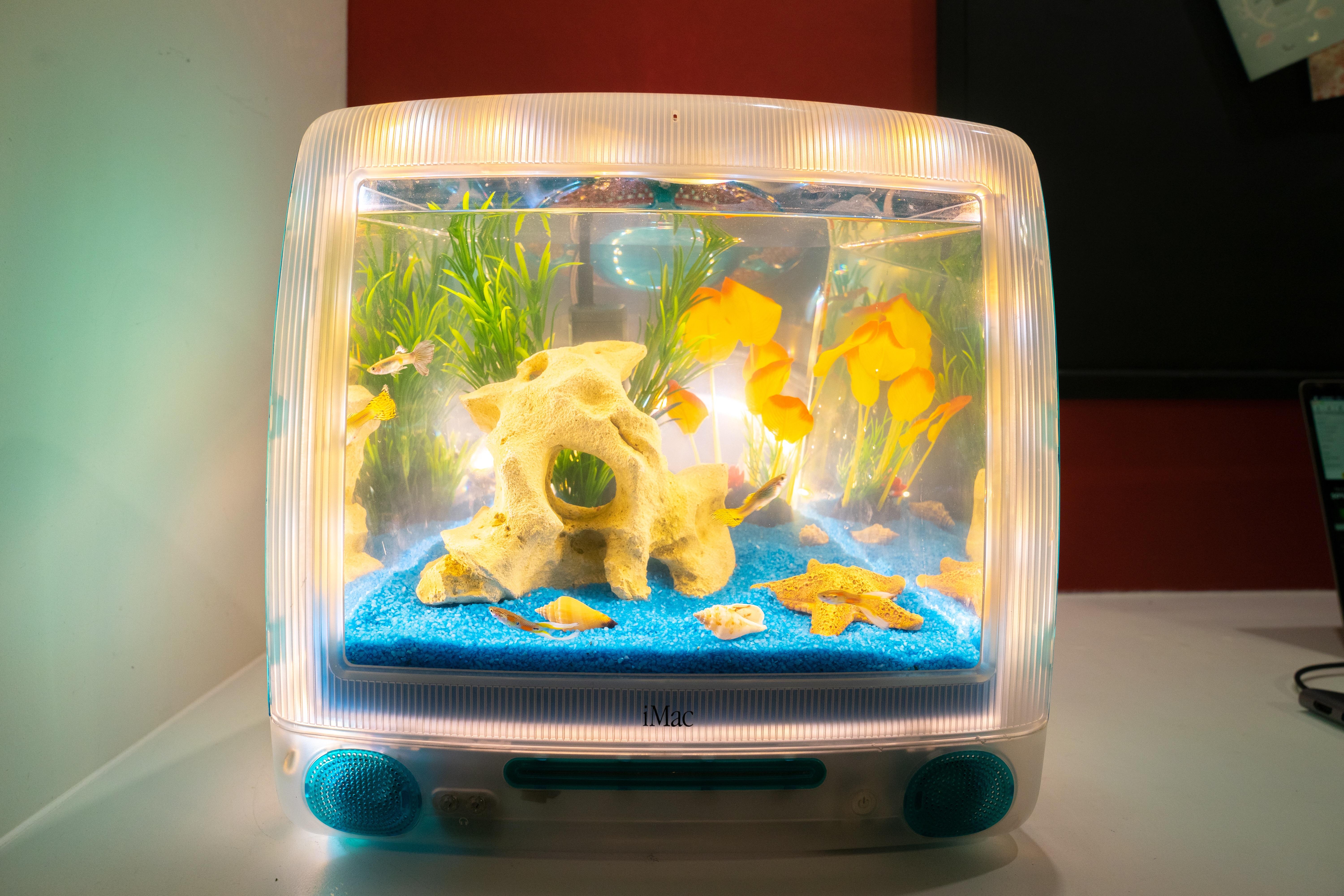 I transformed a broken iMac G3 to this little aquarium. I call it