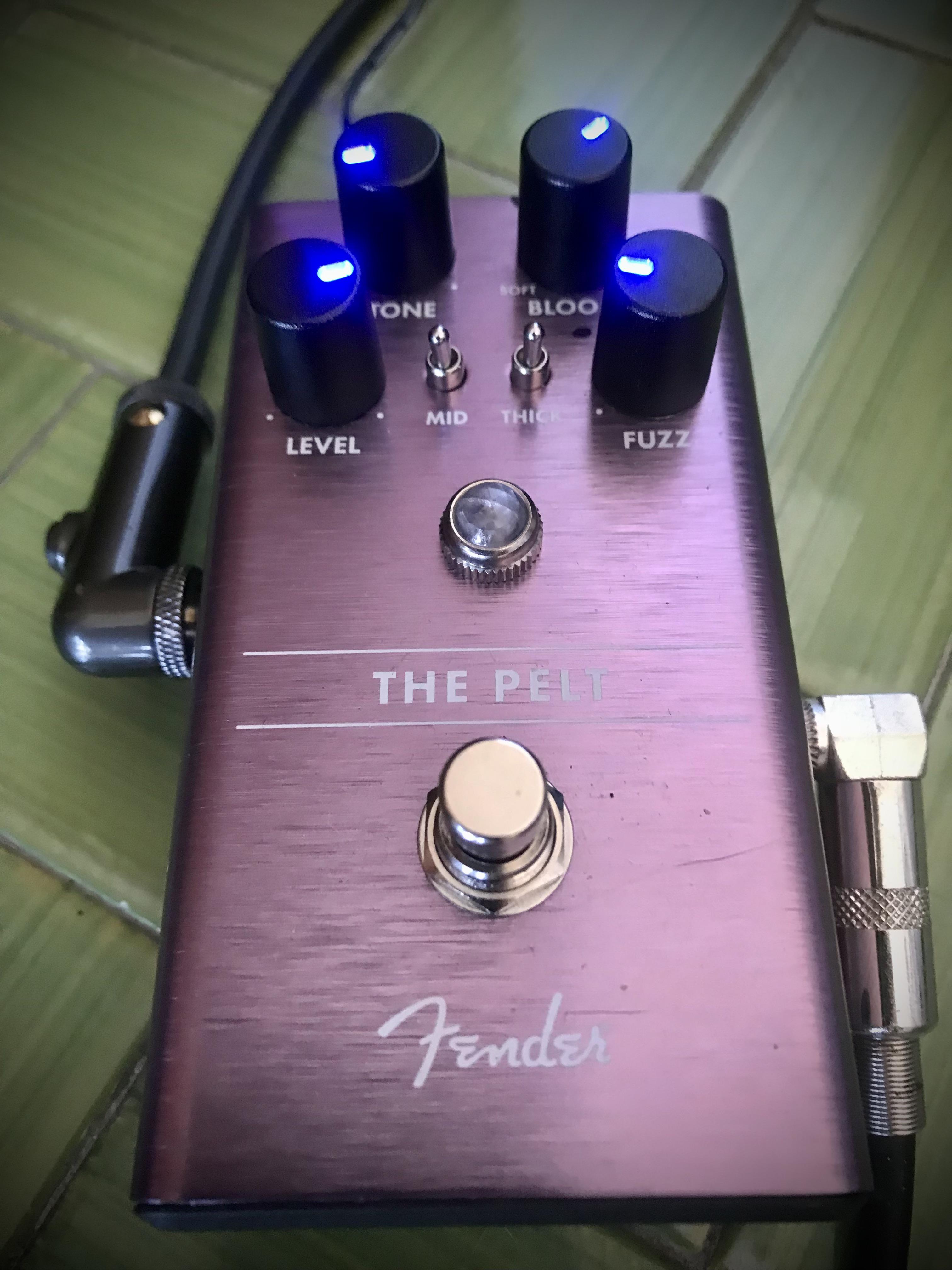 Oh my god this fuzz is to die for!!! #fender #thepelt #fuzz : r