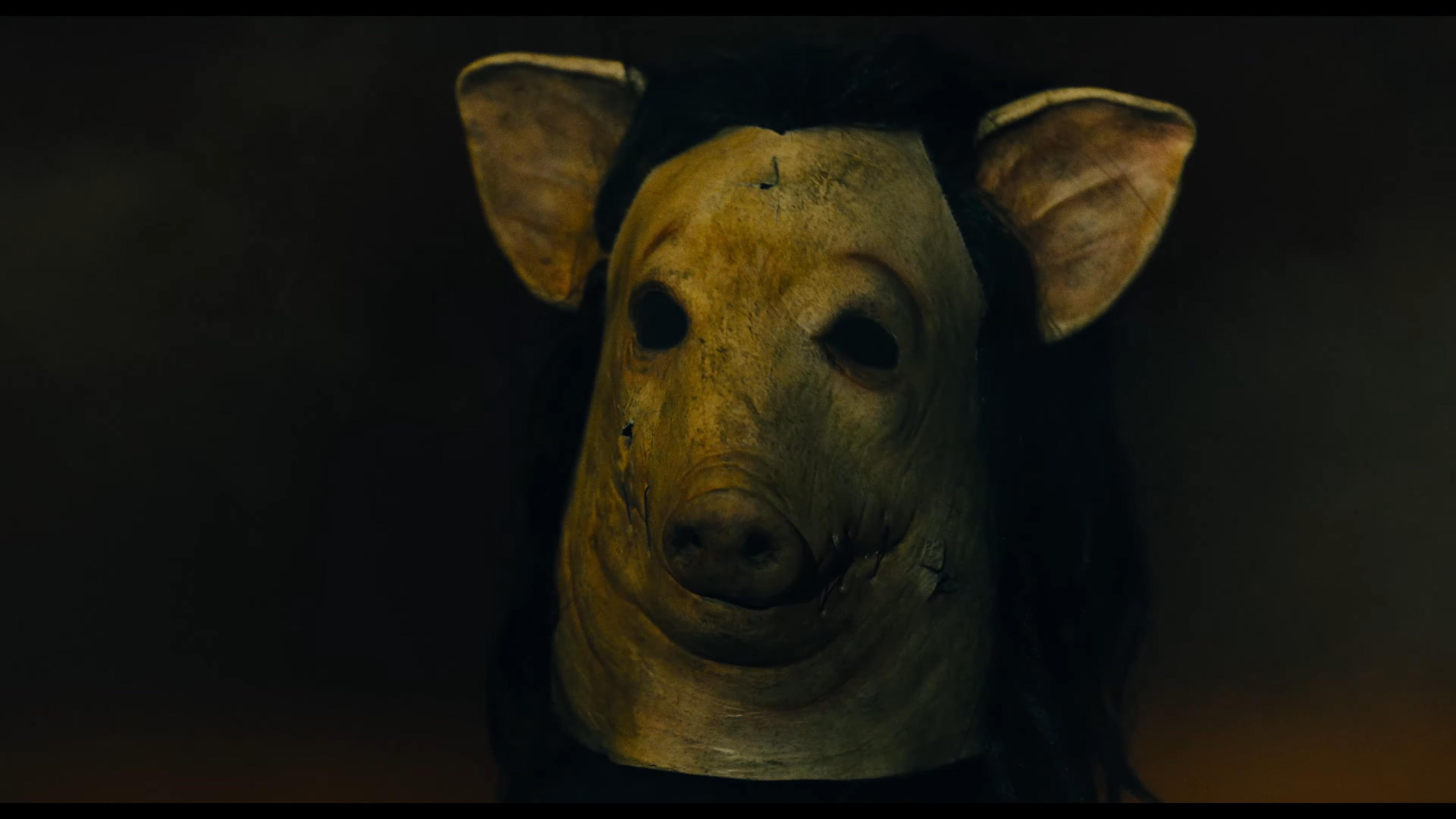 ちょっと気になるんだけど、みんな新しい豚のマスクどう思う？ 好きか