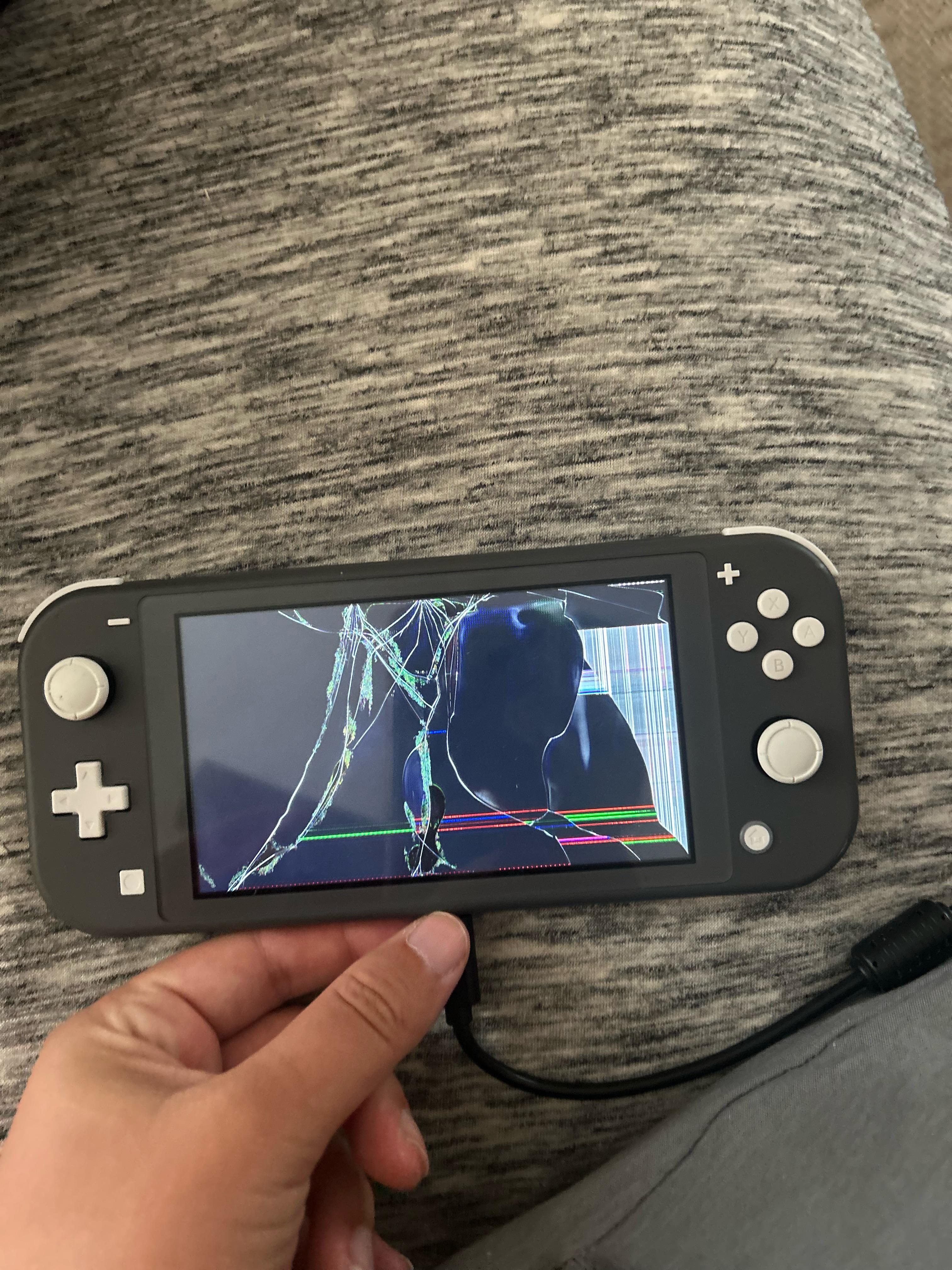 Nintendo Switch Liteの画面が割れちゃった。どうすればいい？ : r