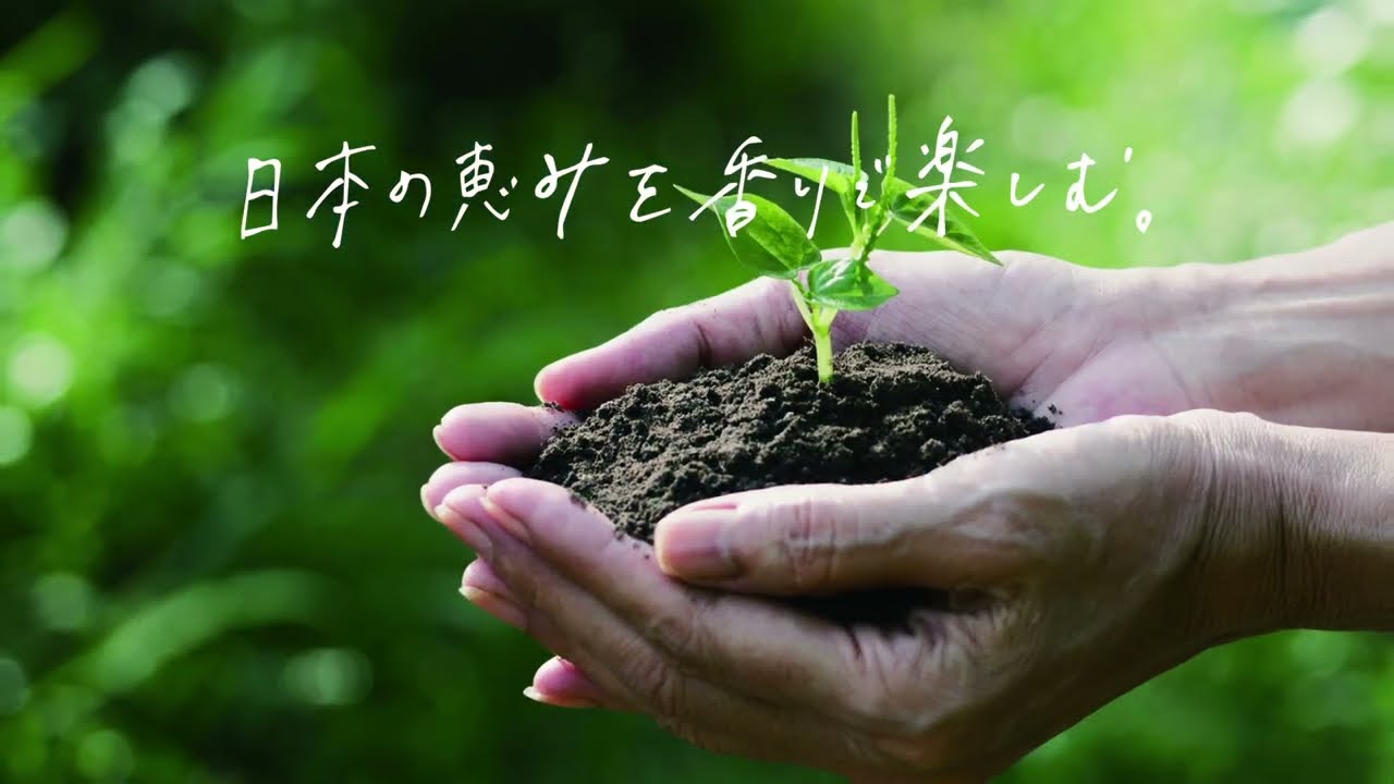 シーズナブル 大島桜 | カーフレグランス | 晴香堂