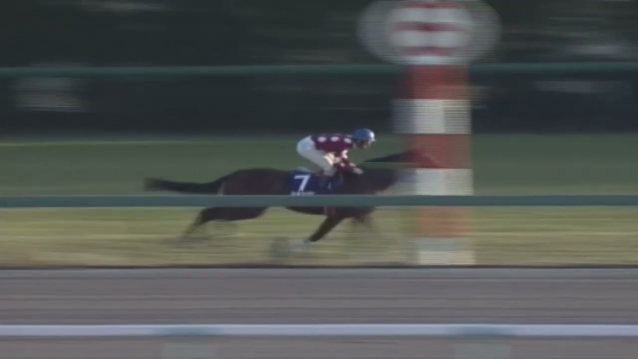 1997年 有馬記念 シルクジャスティス - YouTube