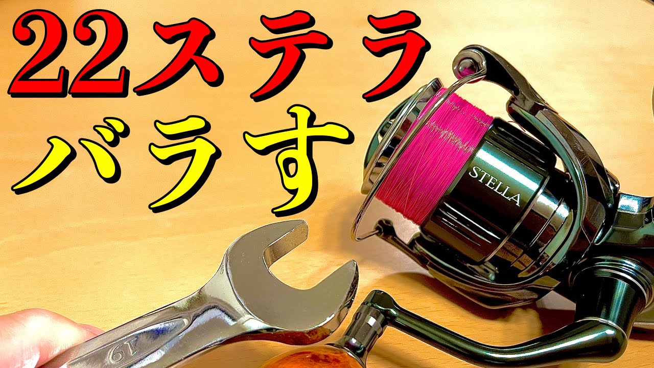 孫悟空 22ステラ 2500S メンテナンススプレー付き 孫悟空 22ステラ