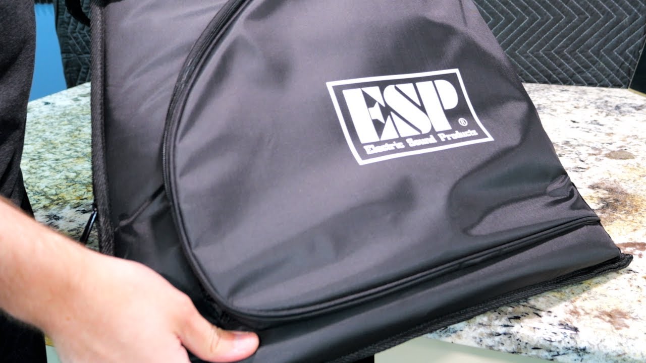 ギター DeliciousTaylormade BEEAROUND NKT ギター