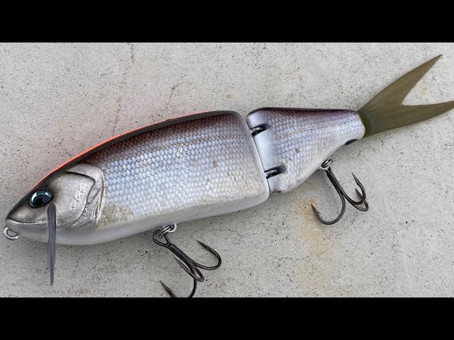 DRT】【工賃〇万円…】【根がかり厳禁】世界に一つだけのタイニー