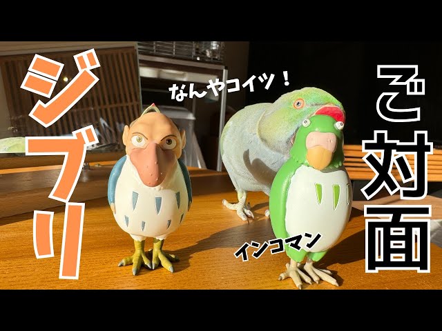 ジブリの「君たちはどう生きるか」うん、うん、うなずくインコマン人形