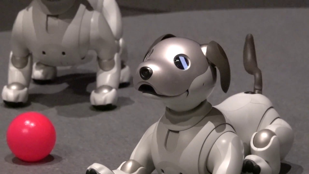 ソニー「aibo」の動き - YouTube